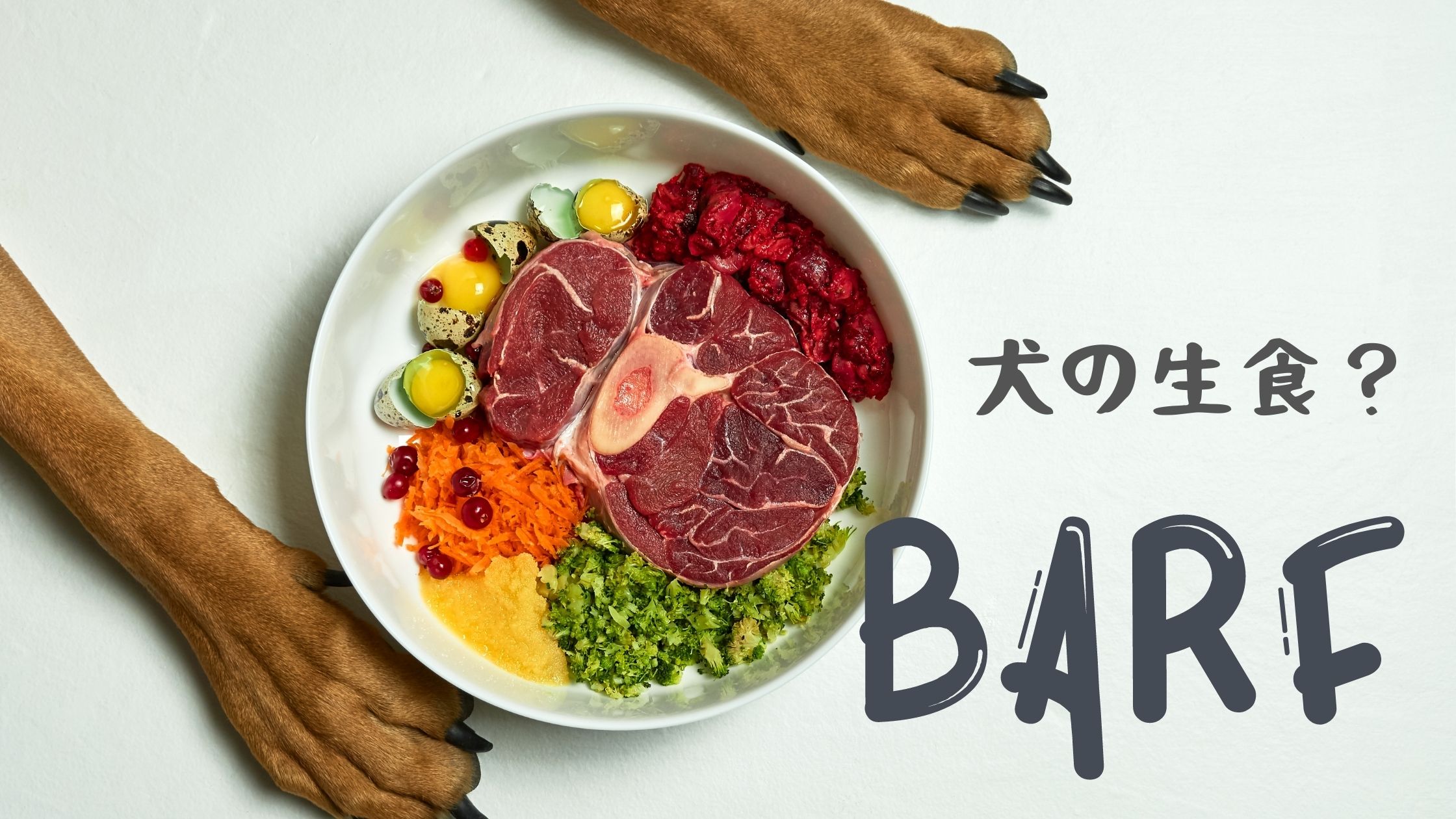 BARF　生食　犬　ローフード　生肉